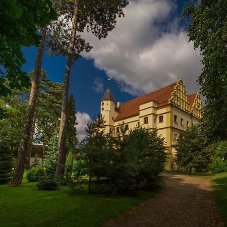 Bed and Breakfast Zamek W Czernej Czerna Екстер'єр фото