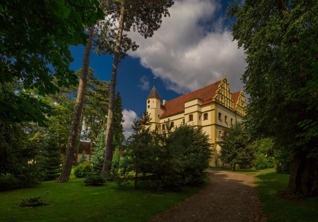 Bed and Breakfast Zamek W Czernej Czerna Екстер'єр фото